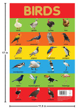 Birds Chart - Early Learning Educational Chart For Kids: Perfect For Homeschooling, Kindergarten and Nursery Students (11.5 Inches X 17.5 Inches) - Retail Maharaj