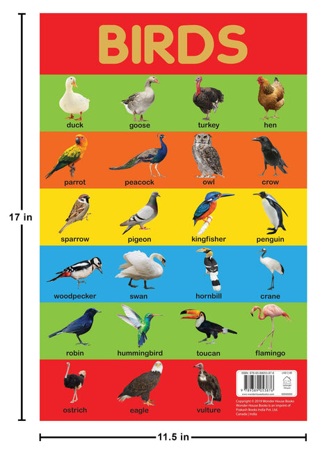 Birds Chart - Early Learning Educational Chart For Kids: Perfect For Homeschooling, Kindergarten and Nursery Students (11.5 Inches X 17.5 Inches) - Retail Maharaj
