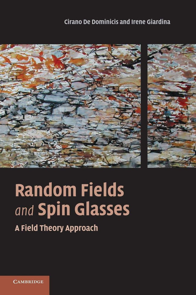 Random Fields and Spin Glasses: A Field Theory Approach - Retail Maharaj