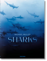Michael Muller. Sharks - Retail Maharaj