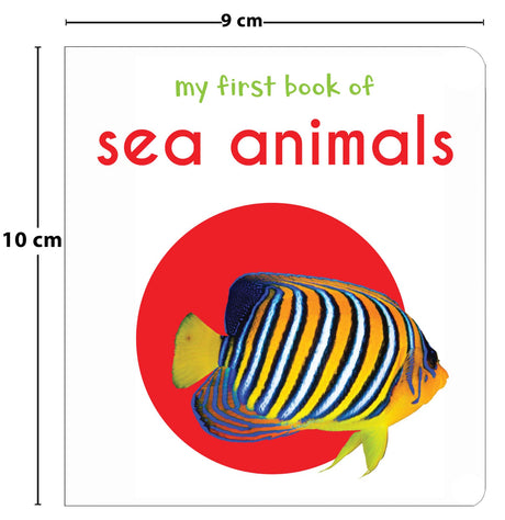 My First Book of Sea Animals | First Ocean Animal Board Book for Babies, Toddlers & Preschoolers | Learn About Fish, Dolphins, Whales & More with Bright Pictures | Early Learning Book for Kids Ages 0-3 Years - Retail Maharaj
