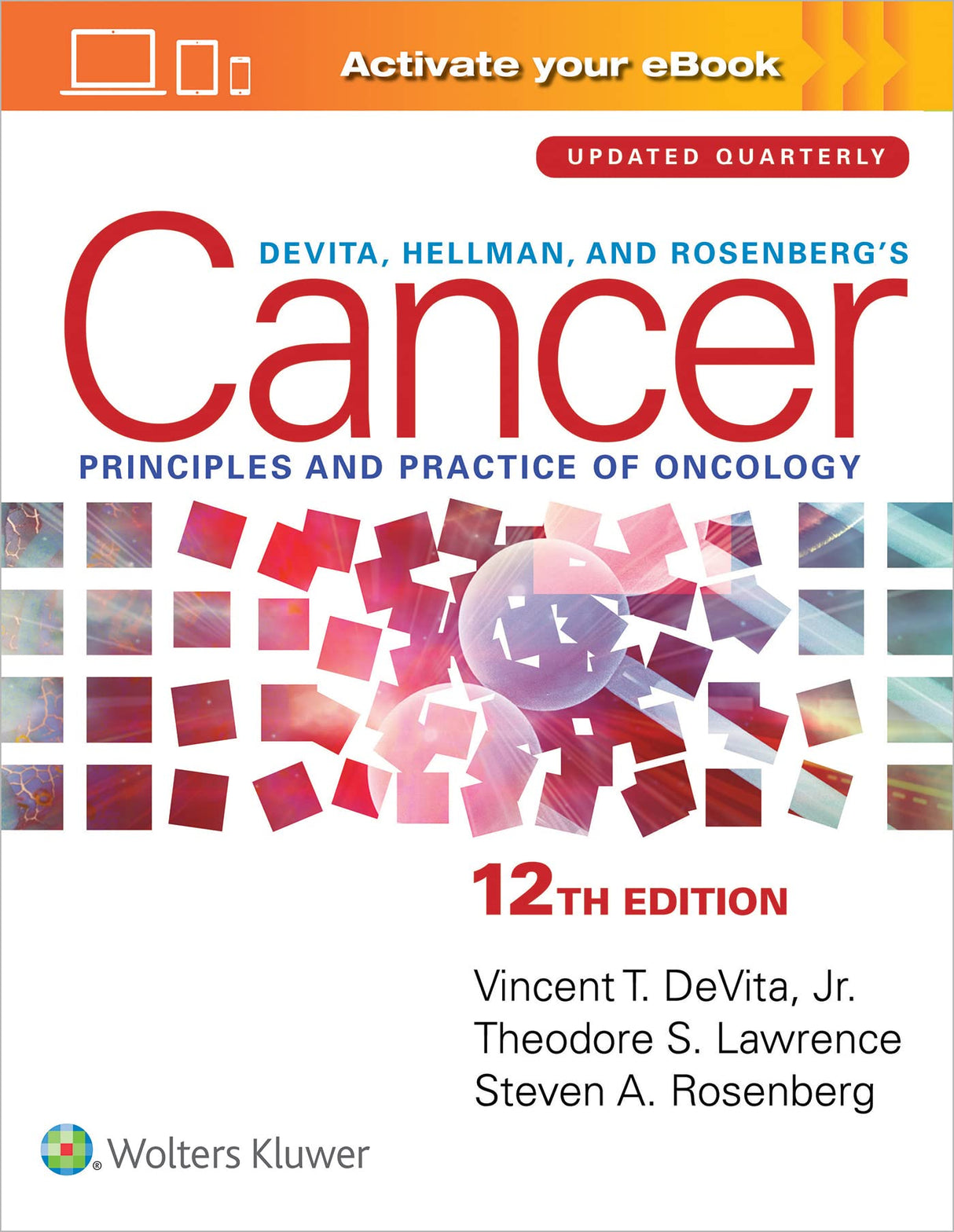 DEVITA HELLMAN AND ROSENBERGS CANCER PRINCIPLES AND PRACTICE OF ONCOLOGY 12ED (HB 2023) - Retail Maharaj