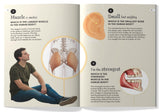 101 Q&A Series - Human Body: Encyclopedia for Kids I Amazing Questions and Answers I Knowledge Book with Simple Explanations & Bright Pictures | STEM Learning I Ages 7+| Select Learning - Retail Maharaj
