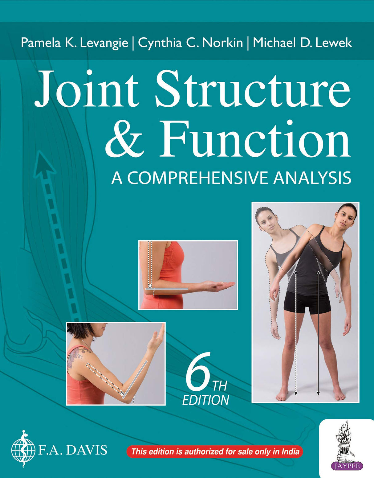 JOINT STRUCTURE & FUNCTION A COMPREHENSIVE ANALYSIS - Retail Maharaj