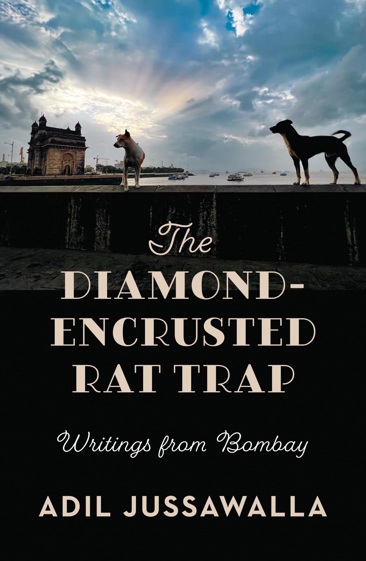 The Diamond-Encrusted Rat Trap : Writings From Bombay - Retail Maharaj