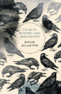 Tales of Mystery and Imagination (Macmillan Popular Classics) - Retail Maharaj