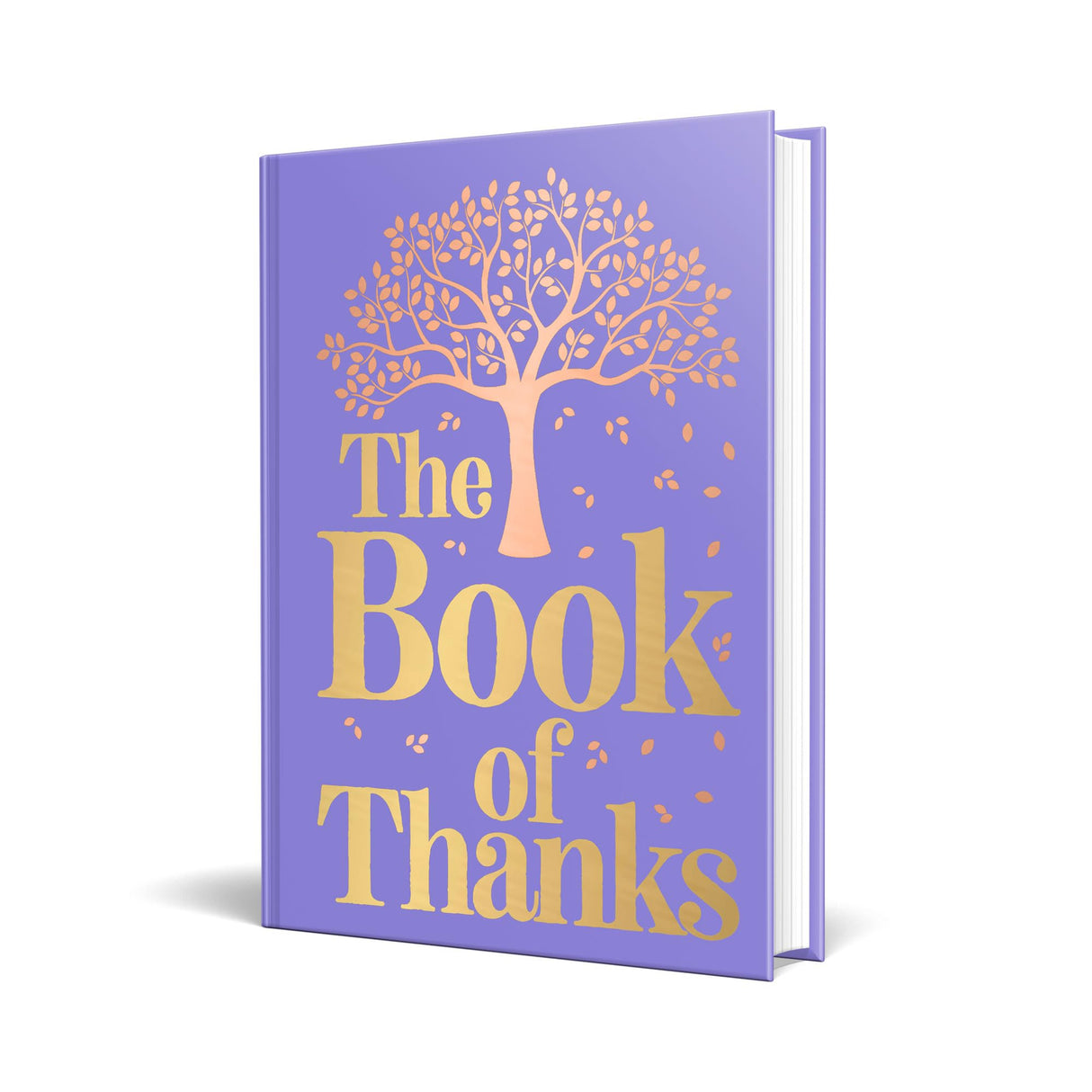 The Book of Thanks - Retail Maharaj