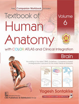 Textbook Of Human Anatomy With Color Atlas And Clinical Integration 2 Vol Set (Vol 5- Head Neck And Face And Vol 6-Brain) With Companion Workbook (Pb 2024) - Retail Maharaj