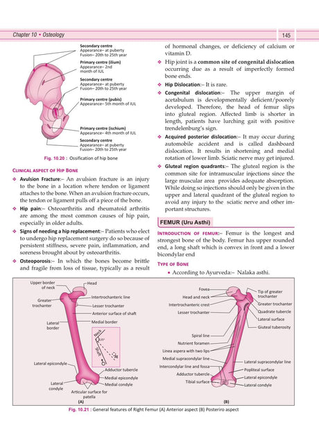 Illustrated Textbook of Rachna Sharir (Vol-1) (सचित्र रचना शारीर) Modern and Ayurveda anatomy with Clinical & Applied aspects based on new NCISM curriculum for BAMS 1st Professional - Retail Maharaj