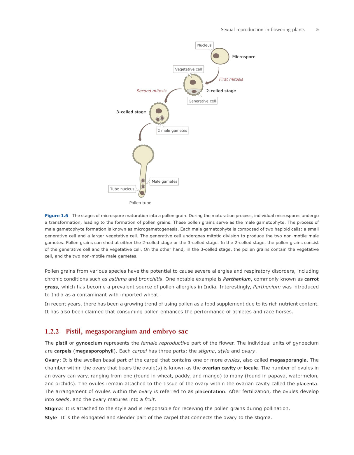 Pathfinder's NCERT Biology Book for Class 12: Comprehensive Guide for NEET, CUET (UG) Biology, and Class 12 Board | Latest NCERT Pattern, Simplified Language, Detailed Theory, and MCQs - Retail Maharaj