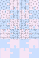20th Century Standard Puzzles - Retail Maharaj
