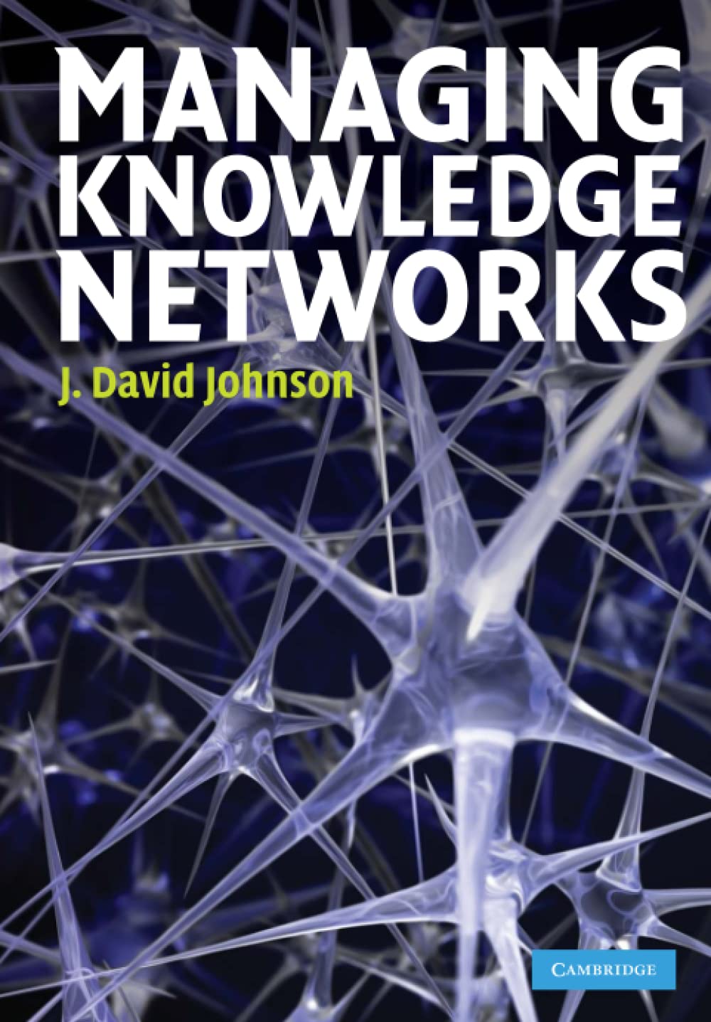 Managing Knowledge Networks - Retail Maharaj