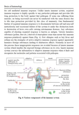 Basics of Immunology - Retail Maharaj