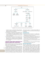 Practical Approach to Gynaecology - (PB 2026) - Retail Maharaj