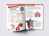 Human Body - Lungs And Respiratory System: Knowledge Encyclopedia For Children - Retail Maharaj