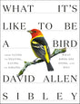 What It's Like to Be a Bird: From Flying to Nesting, Eating to Singing--What Birds Are Doing, and Why - Retail Maharaj