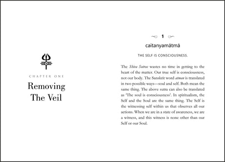 The Shiva Sutras - Retail Maharaj