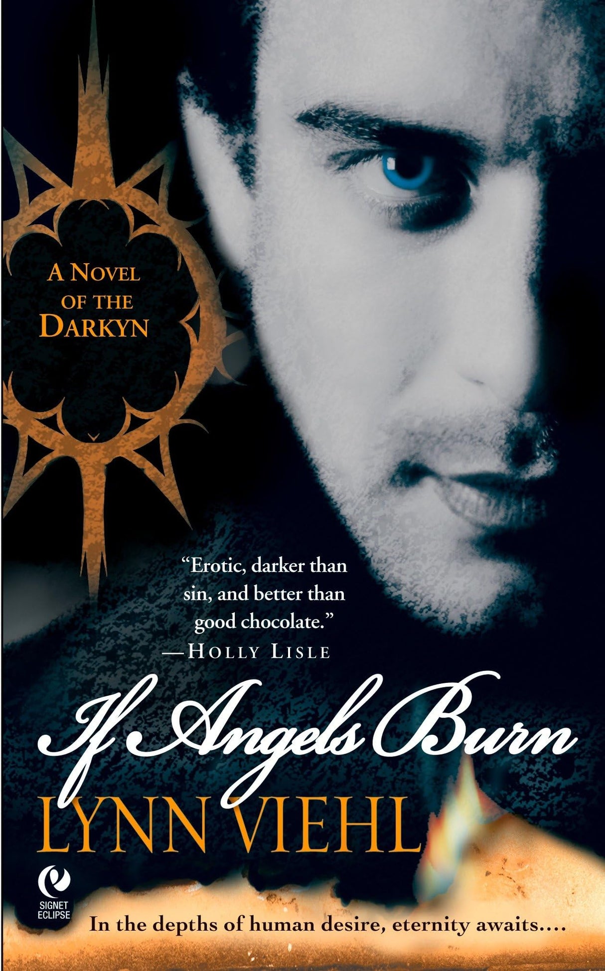 If Angels Burn: A Novel of the Darkyn: 1 - Retail Maharaj