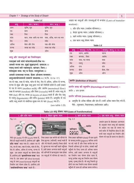 Illustrated Textbook of Rachna Sharir (Vol-1) (सचित्र रचना शारीर) Modern and Ayurveda anatomy with Clinical & Applied aspects based on new NCISM curriculum for BAMS 1st Professional - Retail Maharaj