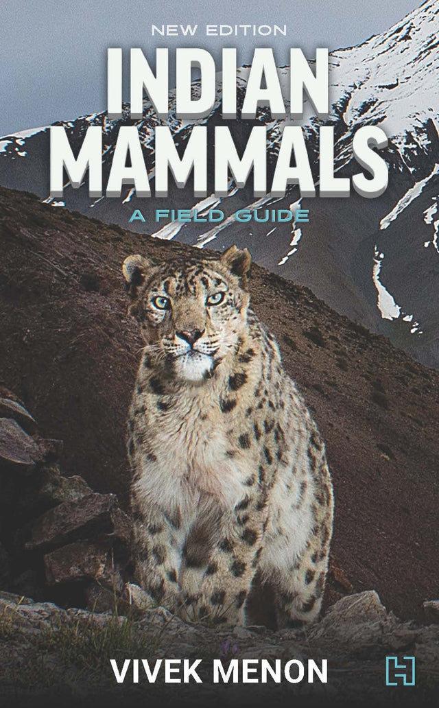 INDIAN MAMMALS – A Field Guide : NEW EDITION - Retail Maharaj