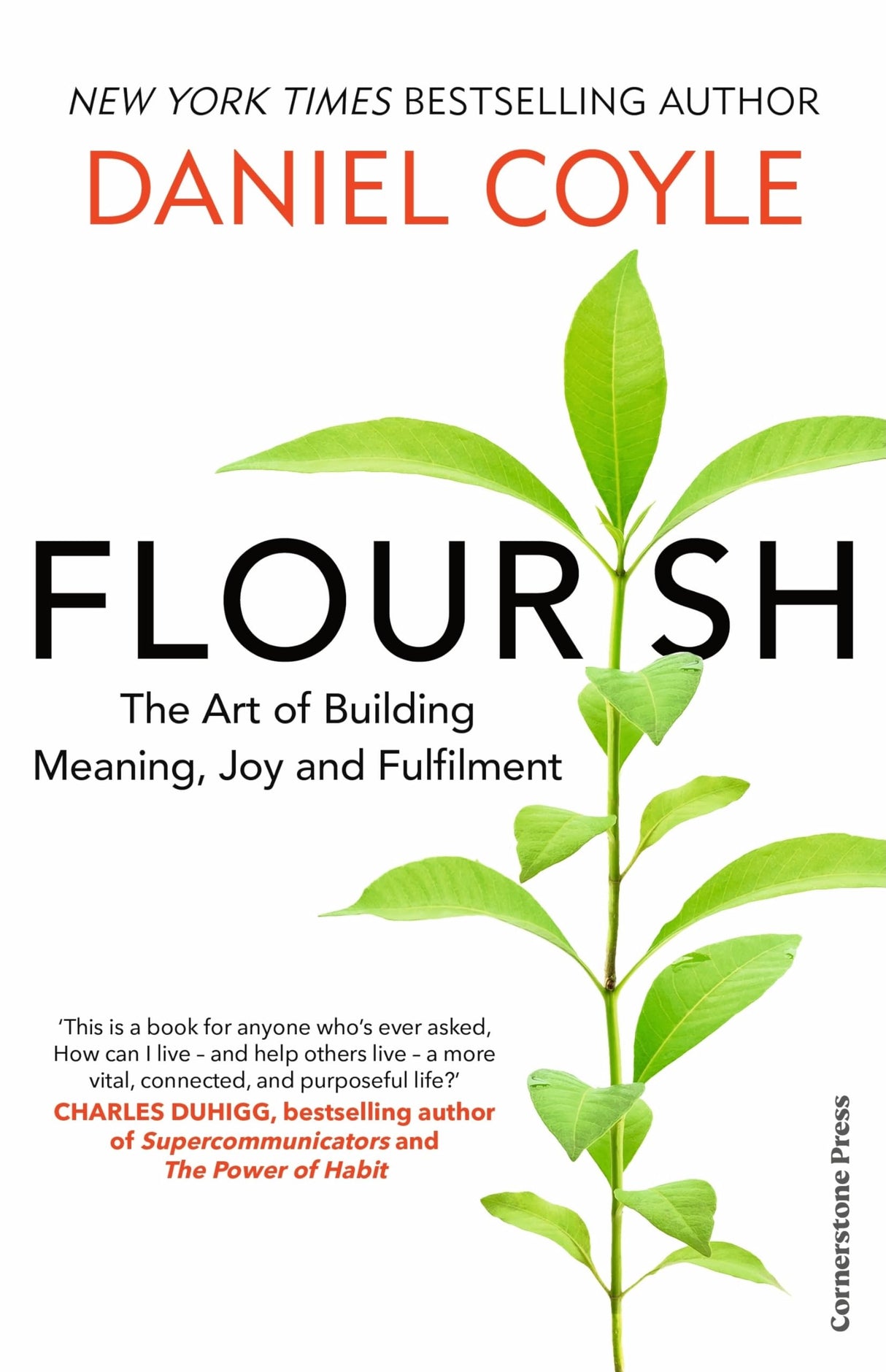 Flourish: The Art of Building Meaning, Joy and Fulfilment - Retail Maharaj