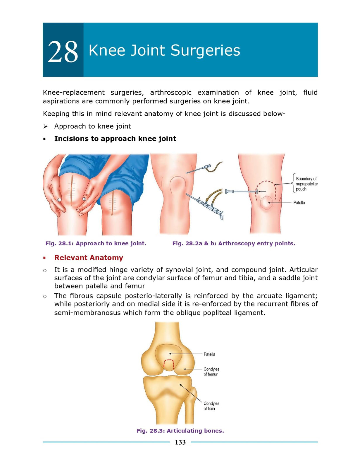 Essential Surgical Anatomy 1st/2026 - Retail Maharaj