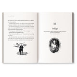 Ghosts, Supernatural and Tales of the Uncanny: A classic, collectable edition of Satyajit Ray’s iconic horror stories, featuring his original illustrations | Foreword by Sandip Ray | Ages 11+ - Retail Maharaj