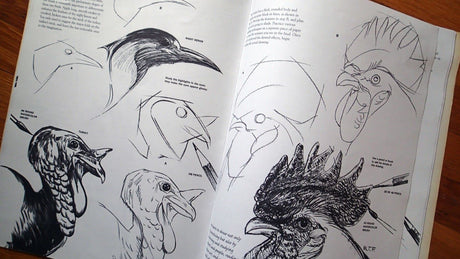 Drawing: How to Draw 2 (How to Draw & Paint/Art Instruction Prog) - Retail Maharaj