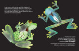 Big Questions Answered: What Can Frogs Tell Us About Our Planet? Herpetology - Retail Maharaj