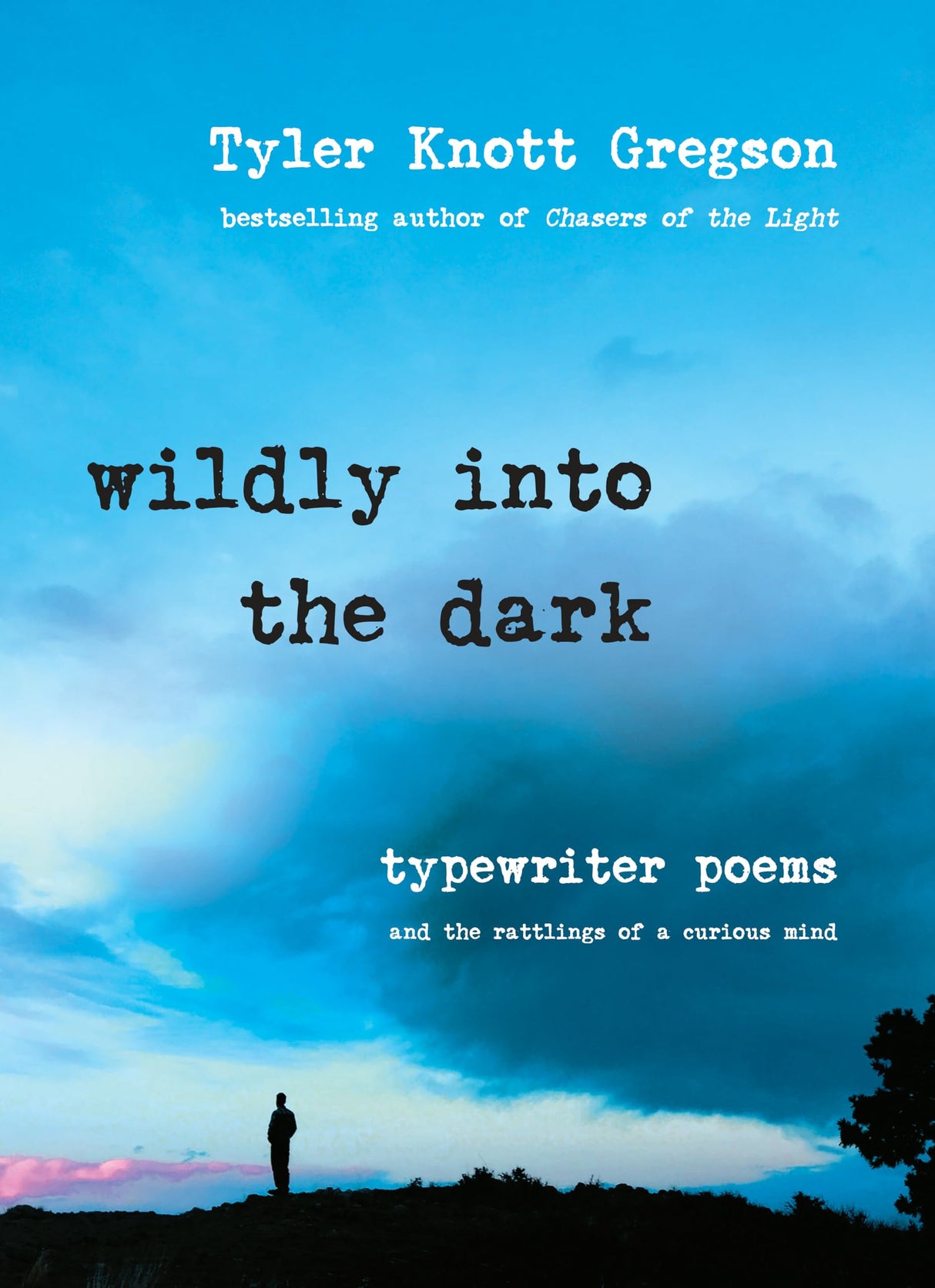 Wildly into the Dark: Typewriter Poems and the Rattlings of a Curious Mind - Retail Maharaj