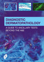 DIAGNOSTIC DERMATOPATHOLOGY:A GUIDE TO ANCILLARY TESTS BEYOND THE H&E - Retail Maharaj