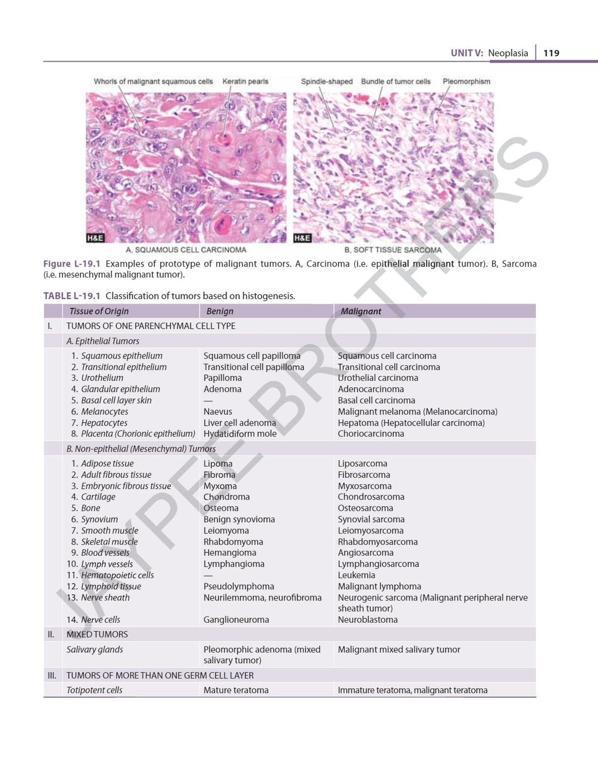 ESSENTIAL PATHOLOGY FOR PHYSIOTHERAPY STUDENTS - Retail Maharaj