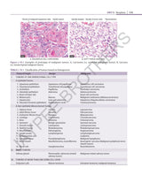 ESSENTIAL PATHOLOGY FOR PHYSIOTHERAPY STUDENTS - Retail Maharaj