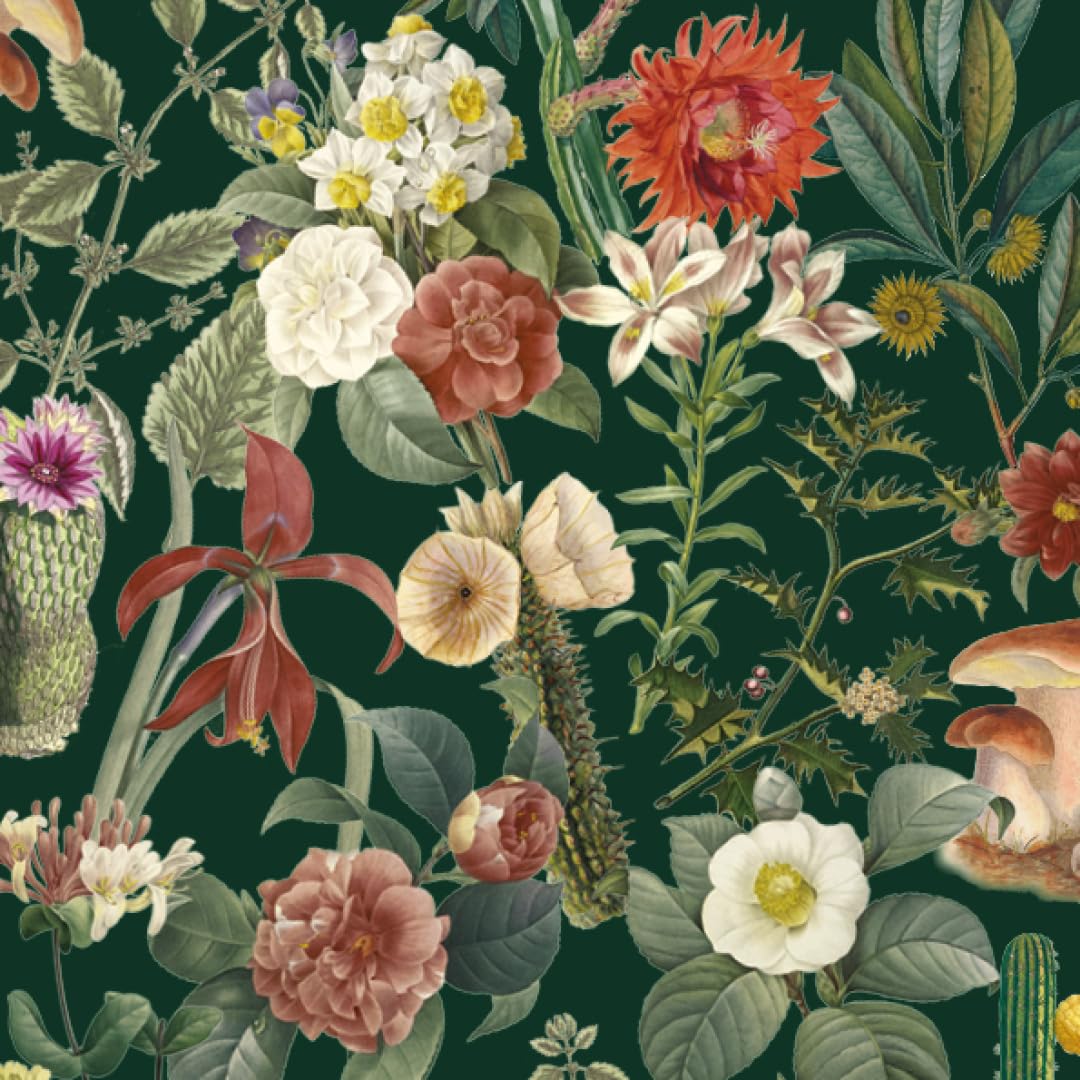 BOTANICAL ART TO CUT OUT & COLLAGE: Over 500 Botanical Illustrations to Inspire Creativity - Retail Maharaj