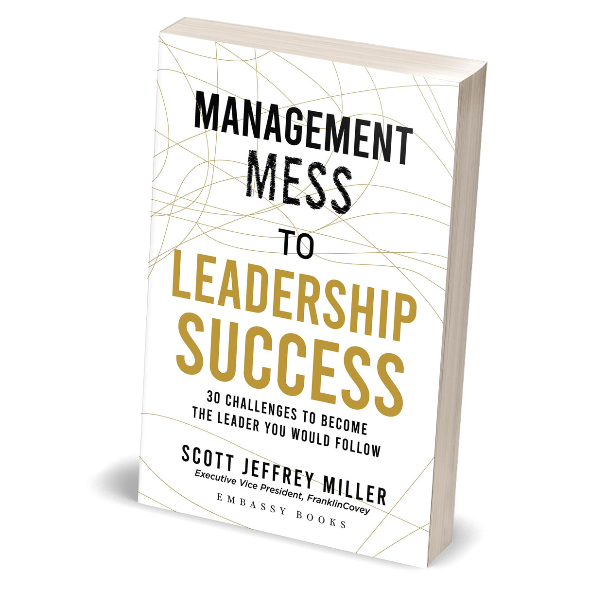 Management Mess To Leadership Success: 30 Challenges to Become the Leader You Would Follow - Retail Maharaj