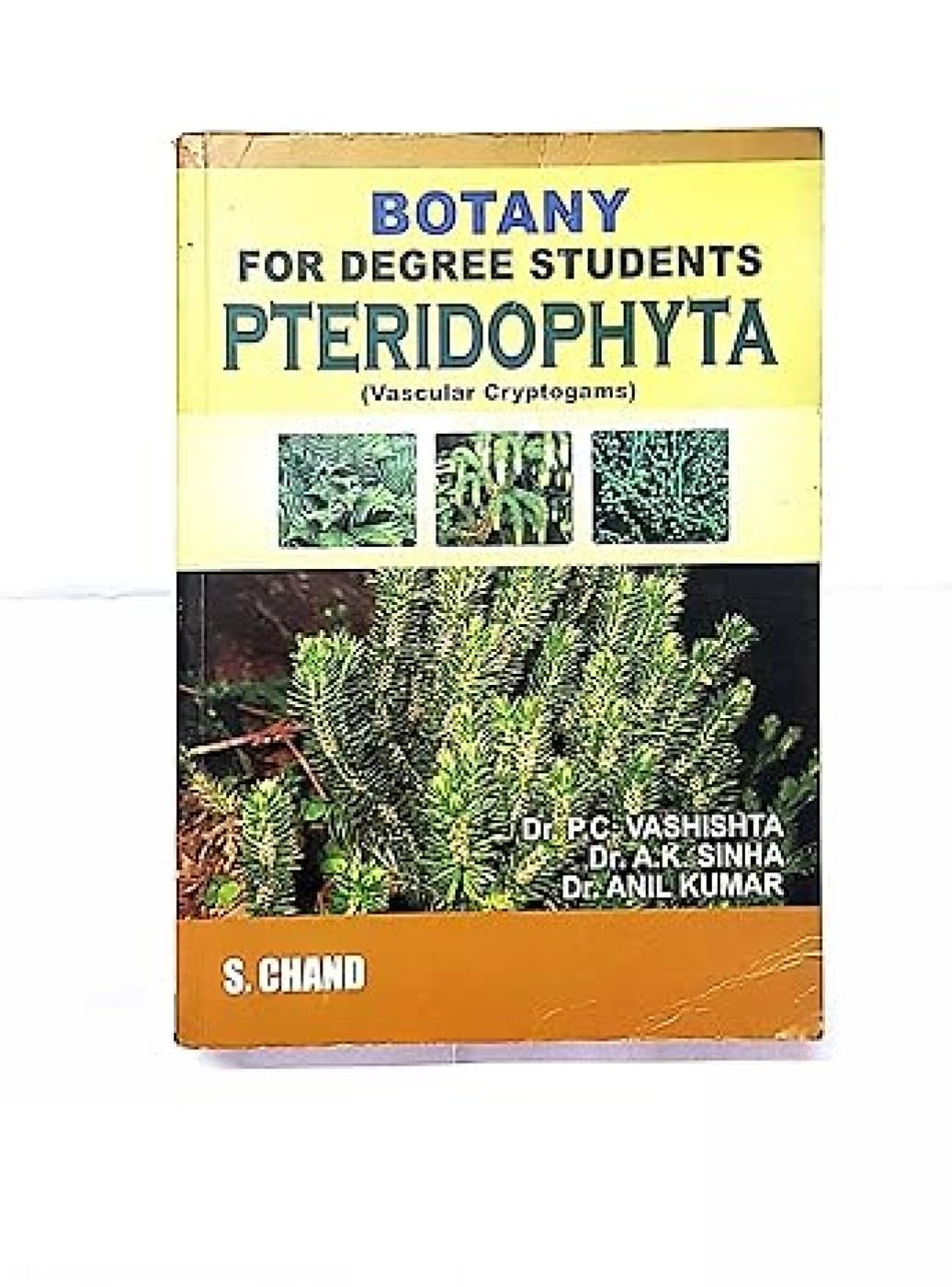 Botany For Degree Pteridophyta - Retail Maharaj