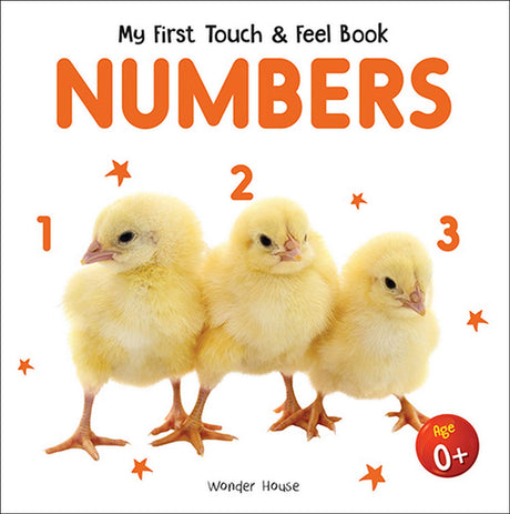 My First Book of Touch And Feel - Numbers : Touch And Feel Board Book For CHildren - Retail Maharaj