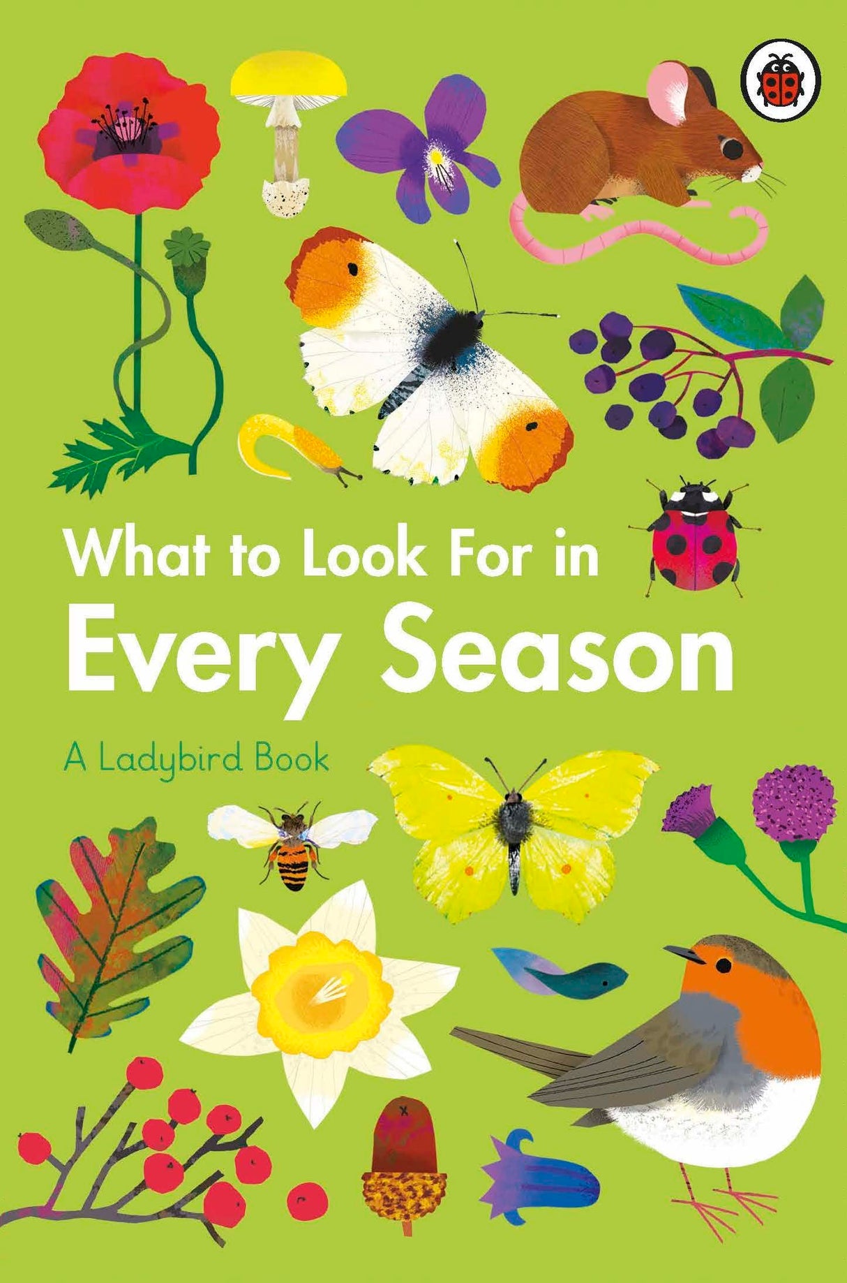 What to Look For in Every Season: A Ladybird Book Boxset - Retail Maharaj