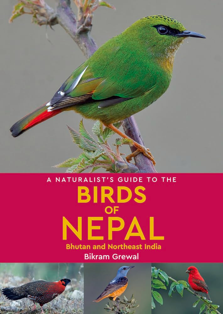 A Naturalist's Guide to the Birds of Nepal: Bhutan and Northeast India (Naturalists' Guides) - Retail Maharaj