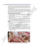 ANATOMICAL PRINCIPLES OF ENDOSCOPIC SINUS SURGERY: A STEP BY STEP APPROACH WITH INTERACTIVE CD-ROM - Retail Maharaj