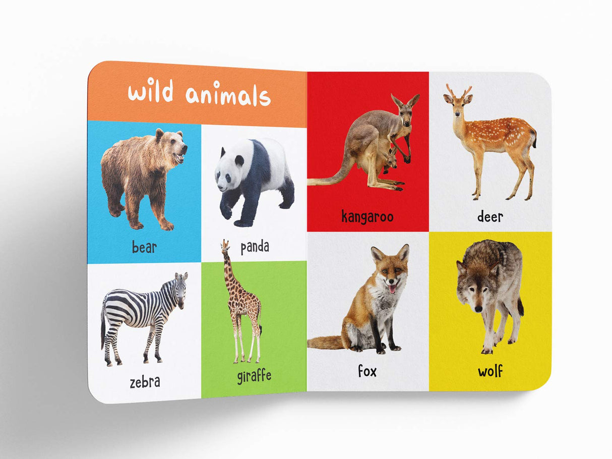My First 100 Animals and Birds: Padded Board Book for Kids | Learn Names of Wild Animals, Farm Animals, Pets & Birds with Bright Pictures | Early Learning Book for Babies, Toddlers & Preschoolers | Ages 0–5 Years - Retail Maharaj