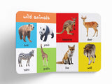 My First 100 Animals and Birds: Padded Board Book for Kids | Learn Names of Wild Animals, Farm Animals, Pets & Birds with Bright Pictures | Early Learning Book for Babies, Toddlers & Preschoolers | Ages 0–5 Years - Retail Maharaj