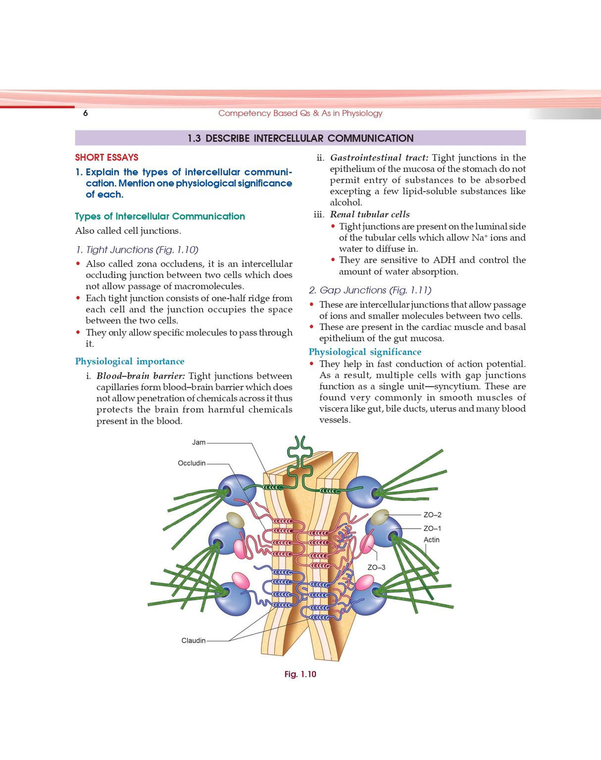 Competency Based Questions And Answers In Physiology For First Mbbs Professional Examination (Pb 2024) - Retail Maharaj