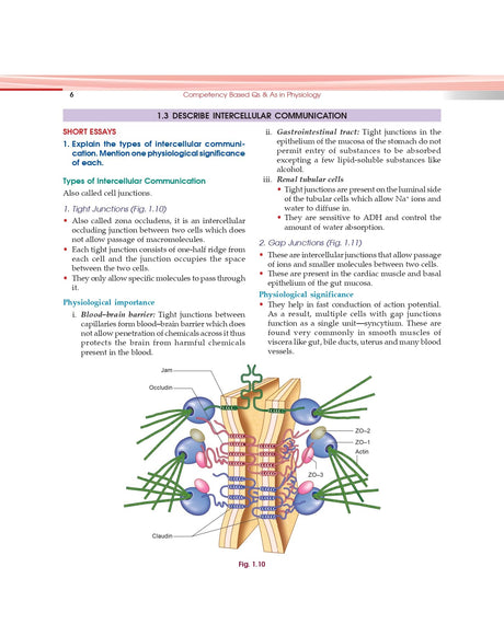 Competency Based Questions And Answers In Physiology For First Mbbs Professional Examination (Pb 2024) - Retail Maharaj