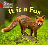 Big Cat L&S_It Is A Fox - Retail Maharaj