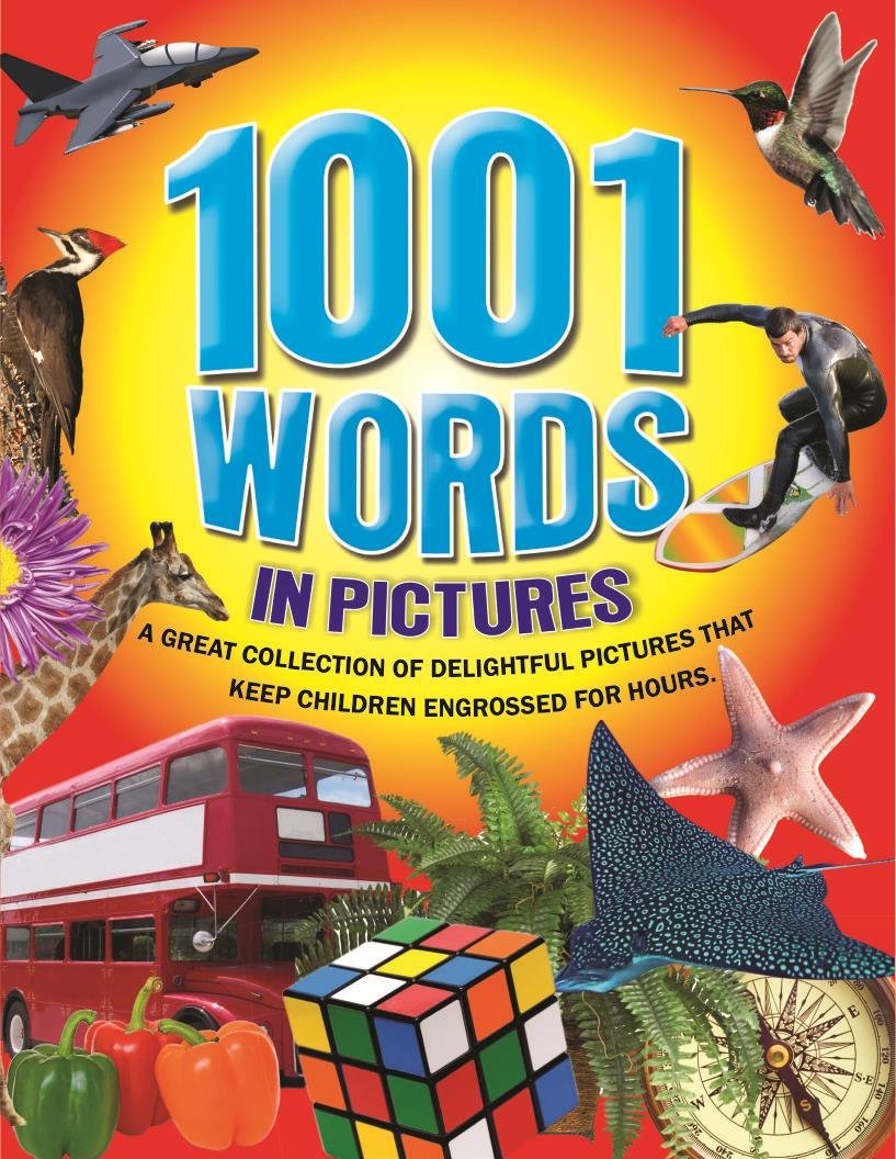 1001 Words in Pictures - Retail Maharaj
