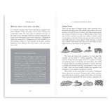 A Complete History of India, One-stop introduction to Indian history for Children: From Harappa Civilization to the Narendra Modi government - Retail Maharaj