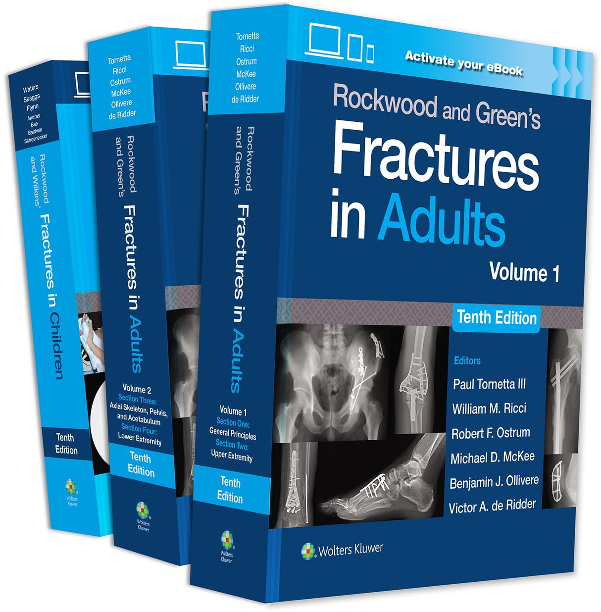 Rockwood 10e Fractures Package - Retail Maharaj