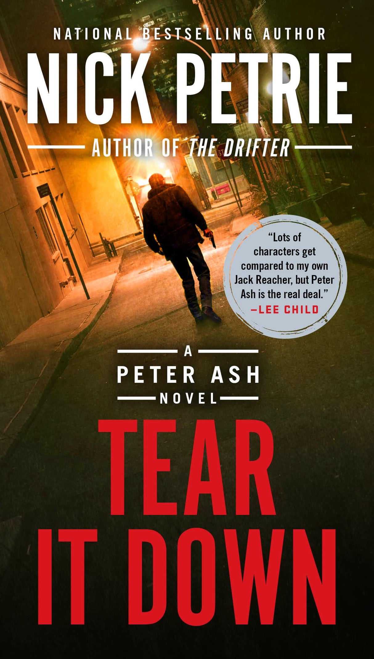 Tear It Down: 4 (A Peter Ash Novel) - Retail Maharaj