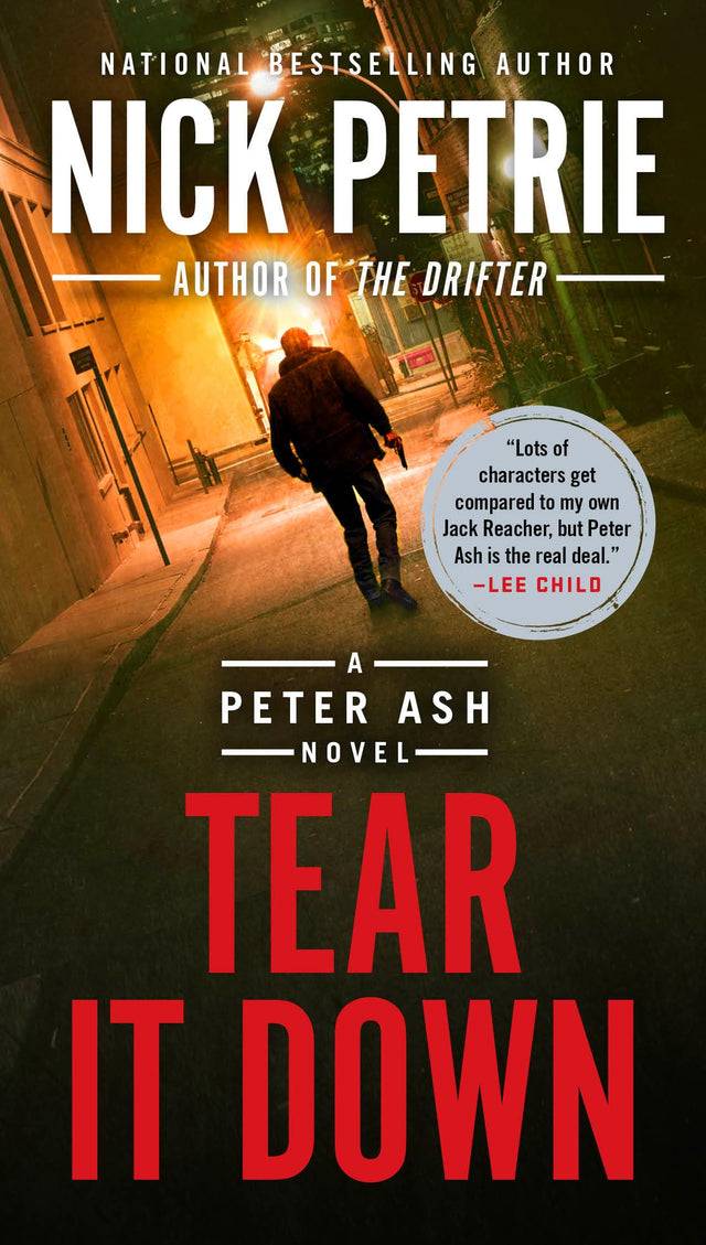 Tear It Down: 4 (A Peter Ash Novel) - Retail Maharaj